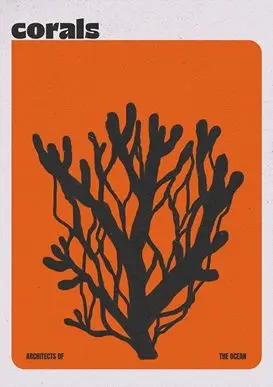 Affiche Corals