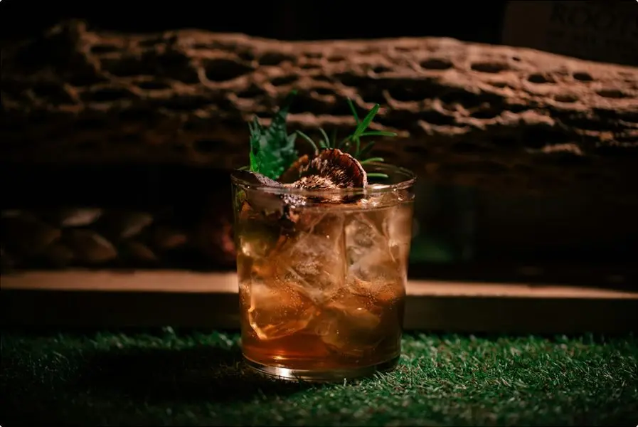 Un cocktail au gin Mojo posé sur du gazon, devant une branche de bois.